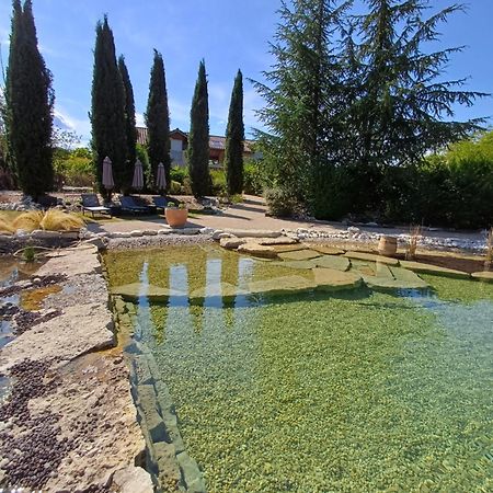 Puravida Appart'S Lagnieu Dış mekan fotoğraf