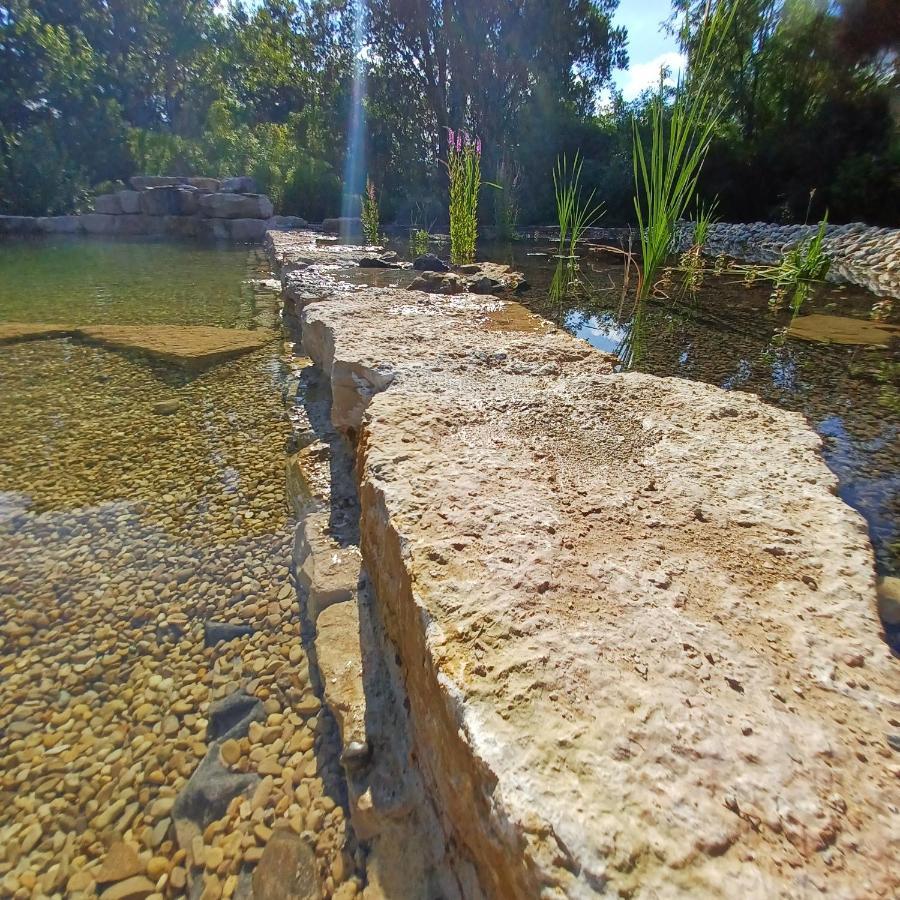 Puravida Appart'S Lagnieu Dış mekan fotoğraf