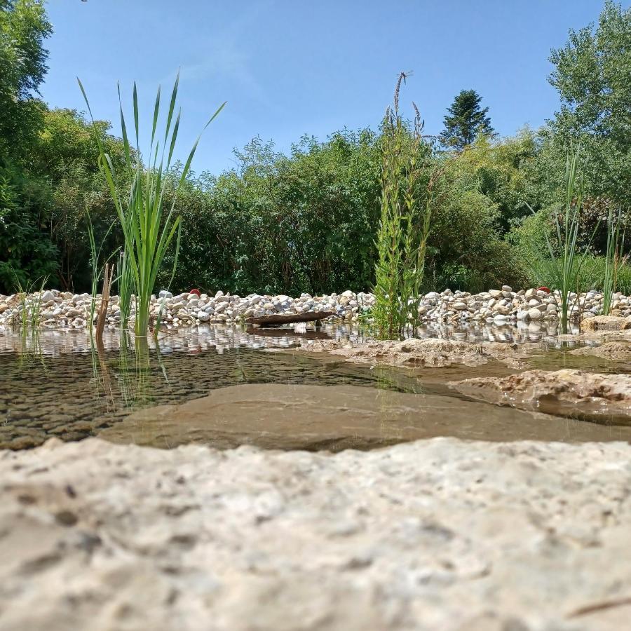Puravida Appart'S Lagnieu Dış mekan fotoğraf